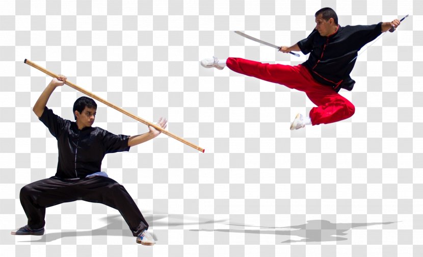 Chinese Martial Arts Wushu Taolu Sanshou - Sanda Transparent PNG
