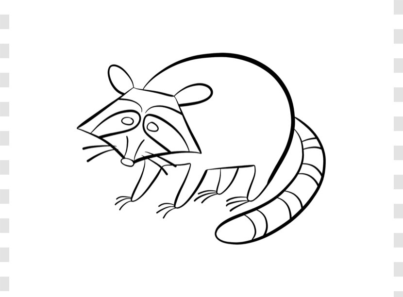 Baby Raccoon Coloring Book Child Clip Art - Cartoon - Pictures For Kids Transparent PNG