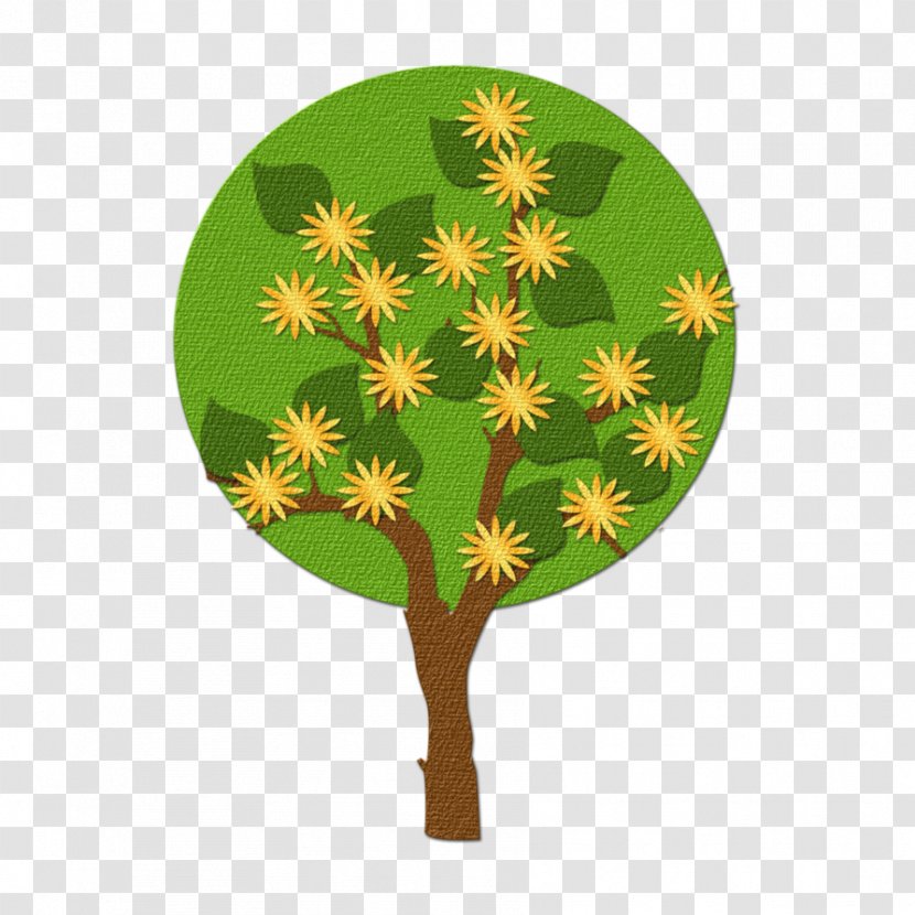 Leaf Tree - Plant Transparent PNG
