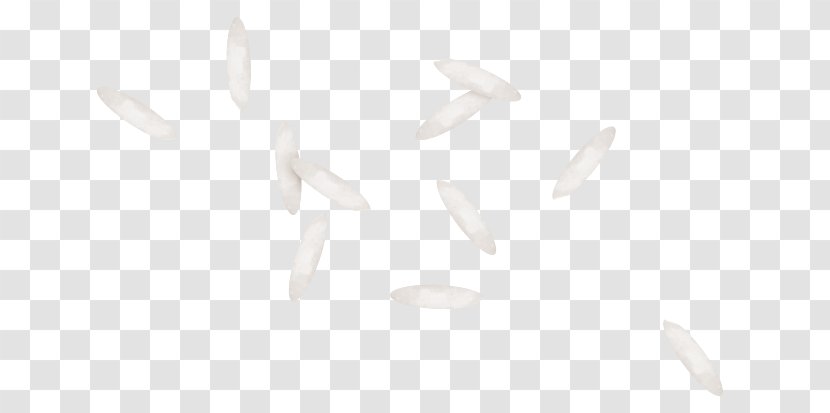 Petal White Flower Clip Art Transparent PNG
