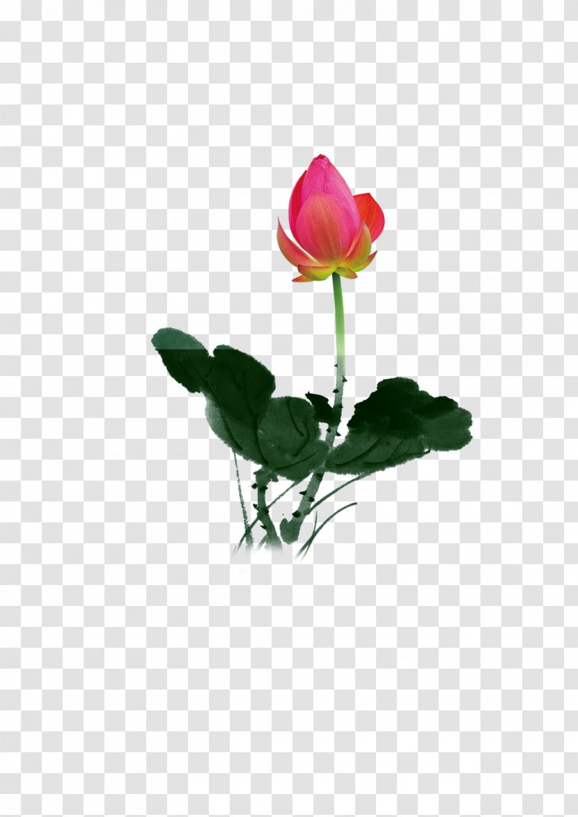Jadeite Advertising Download - Vase - Lotus Flowers Transparent PNG