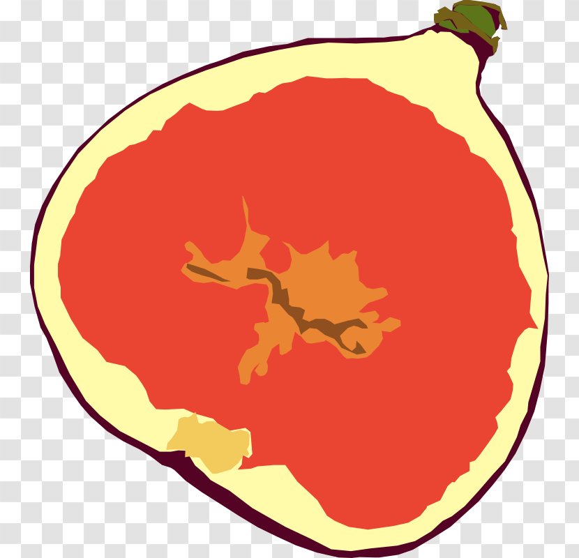 Common Fig Clip Art - Food - Fruit Transparent PNG