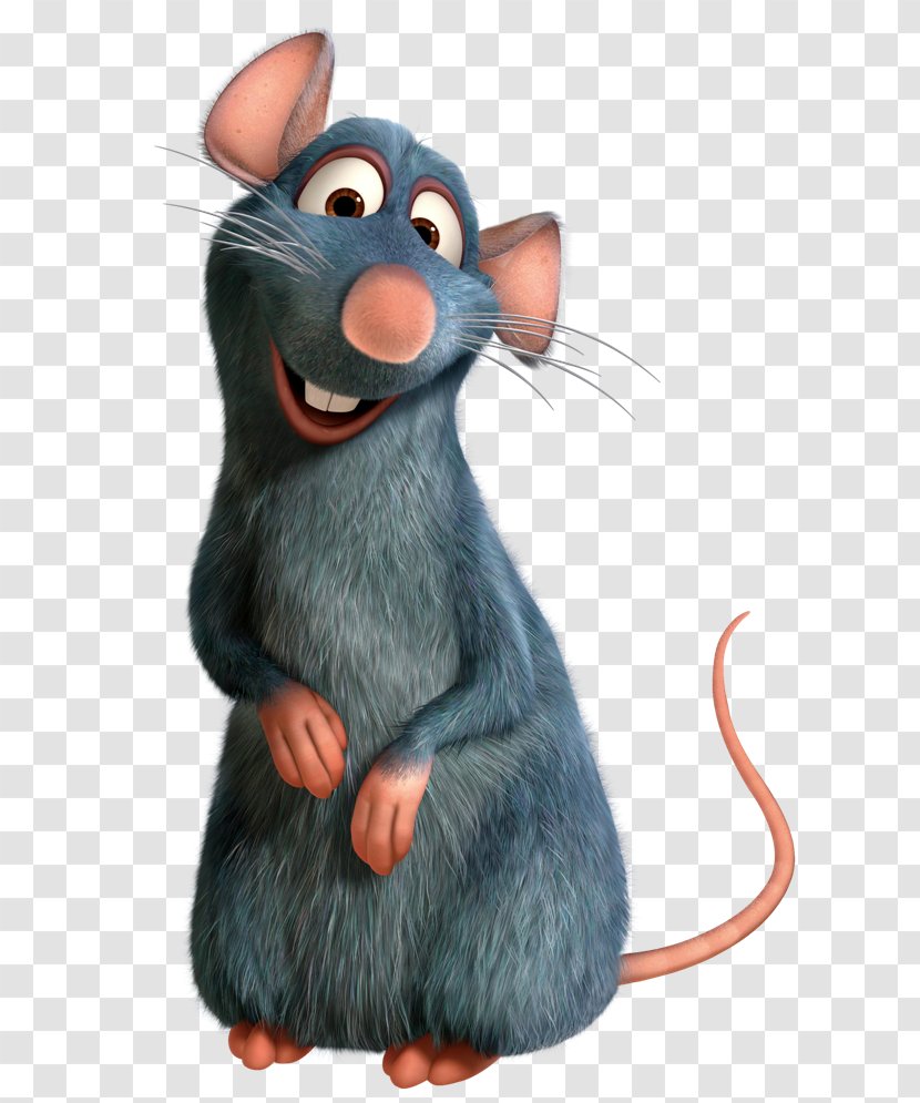Ratatouille Mouse The Walt Disney Company Remy Recipe - Rodent - Rat Transparent PNG