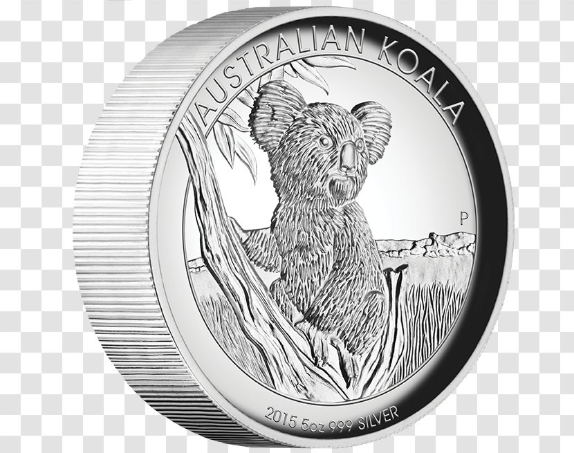 Koala Cartoon - Australia - Drawing Metal Transparent PNG