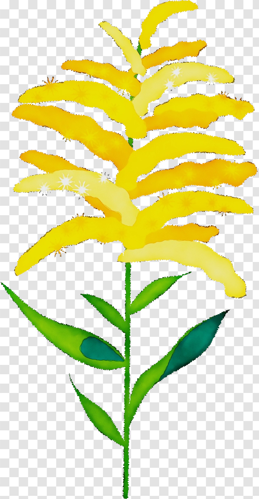 Plant Stem Branch Leaf Flower Yellow Transparent PNG
