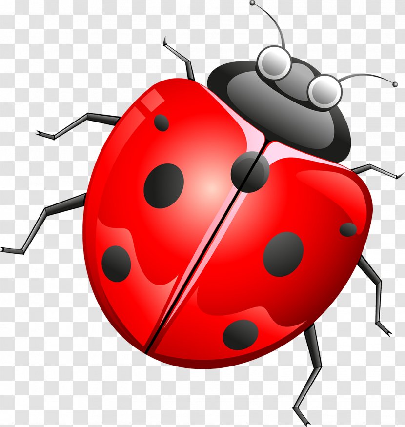 Beetle Cartoon Technology Clip Art - Insect - Ladybird Transparent PNG