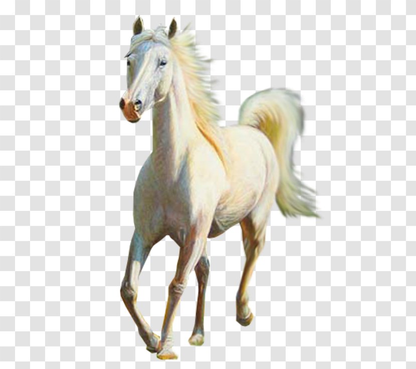 Horse Equestrian Centre .net Animal - Painting Transparent PNG