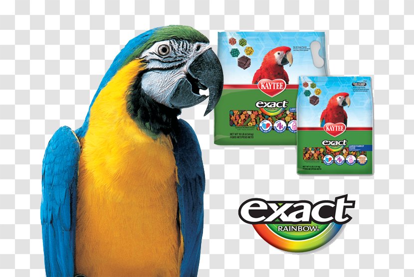 Macaw Bird Parrot Cockatiel Kaytee - Companion Transparent PNG