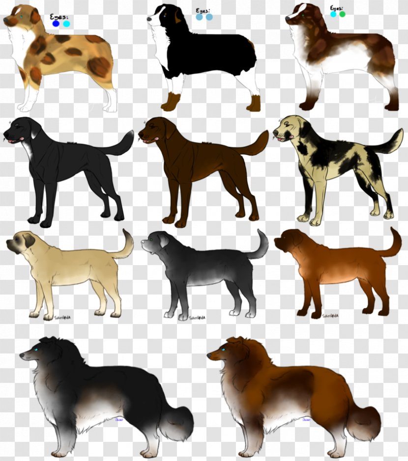 Dog Breed Companion Tail - Group Transparent PNG