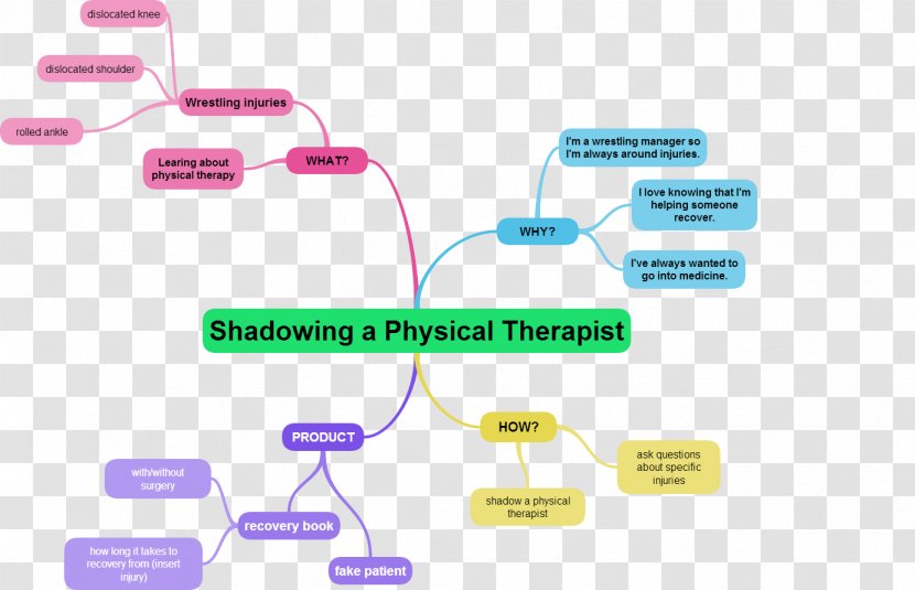 Physical Therapy Occupational Mind Map - Cardiology - Mapping Transparent PNG