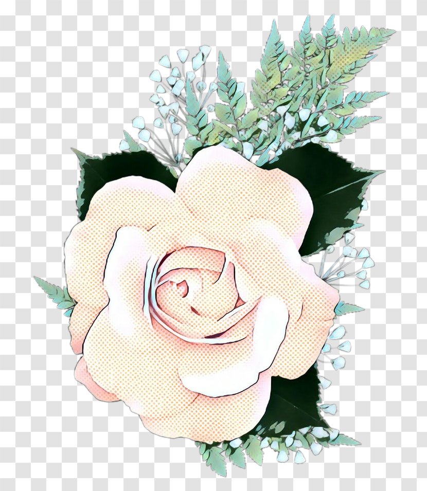 Garden Roses - Flowering Plant Pink Transparent PNG