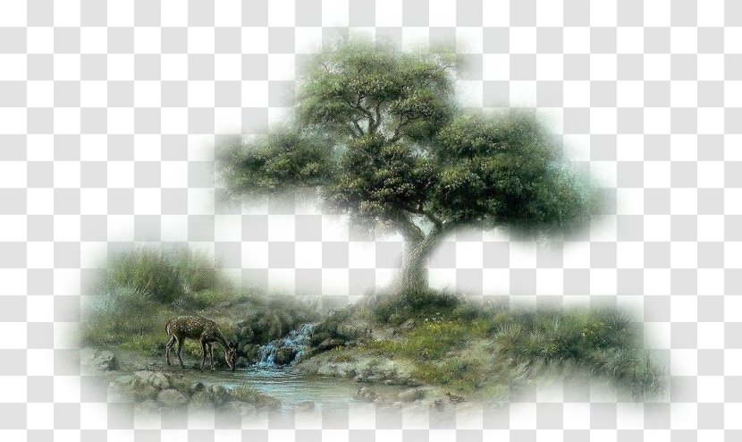 Tree Forest Landscape - Grass Transparent PNG