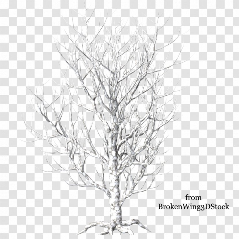 Tree Branch Winter Clip Art - Snow Transparent PNG
