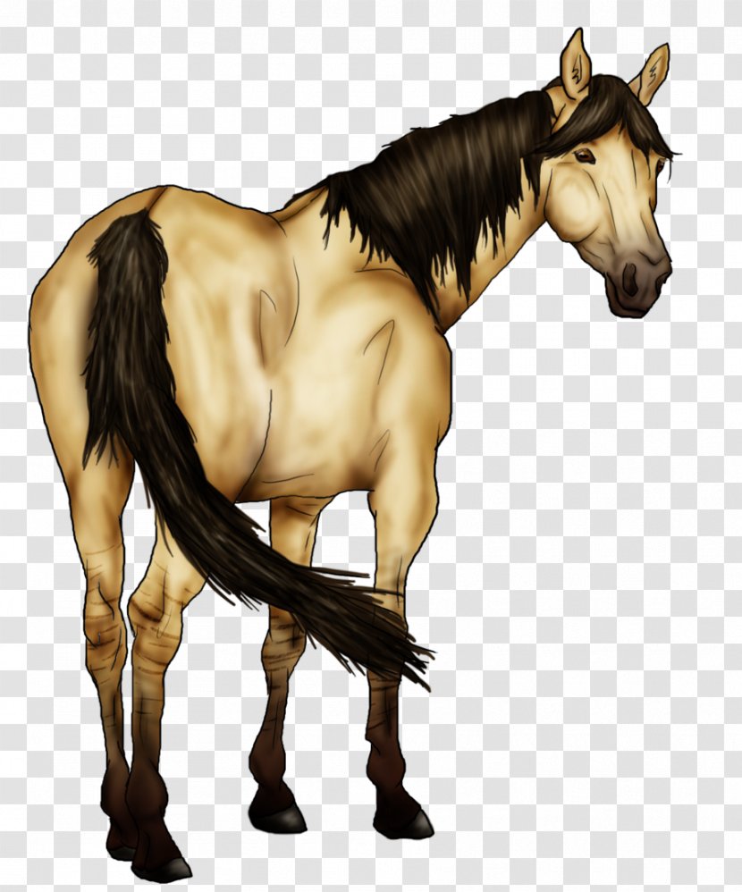 Mane Mustang Stallion Foal Colt - Pack Animal Transparent PNG