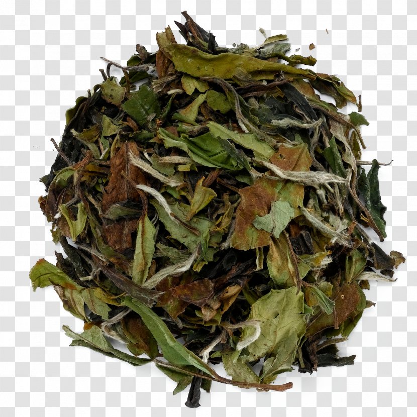 Nilgiri Tea Namul Bai Mudan Plant - Bancha - Genmaicha Transparent PNG