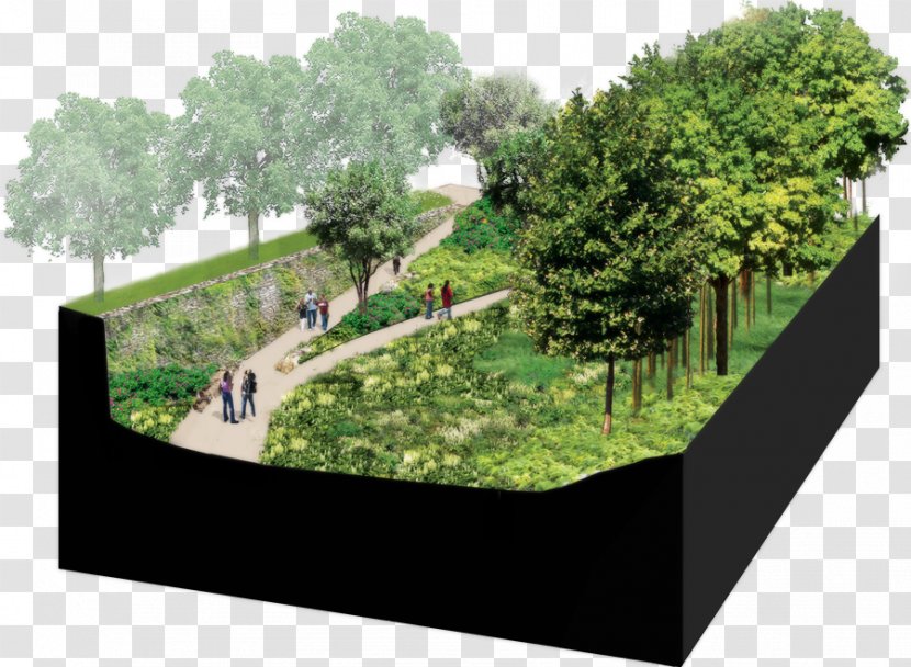 Tree Garden Urban Design House - Grass Transparent PNG