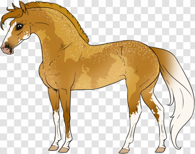 Mane Foal Stallion Colt Mustang - Horse Supplies Transparent PNG