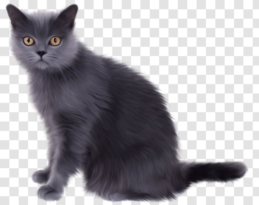 British Shorthair Kitten Persian Cat American Clip Art - Domestic Shorthaired Transparent PNG