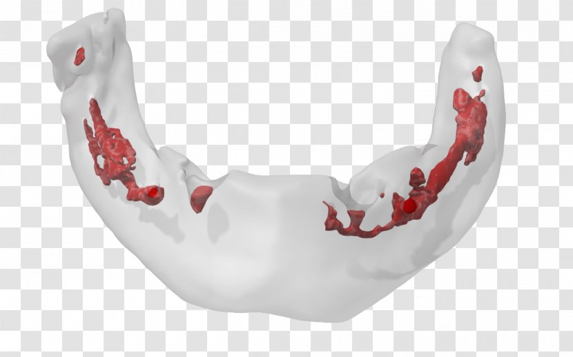 Jaw - Design Transparent PNG