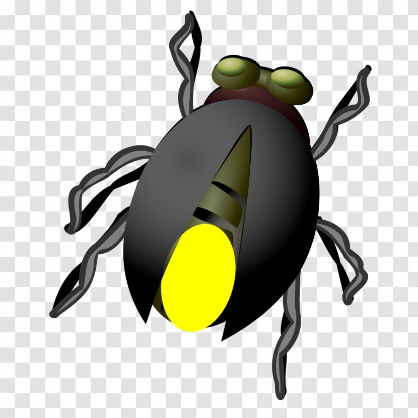 Beetle Firefly Clip Art - Lovely Download Transparent PNG