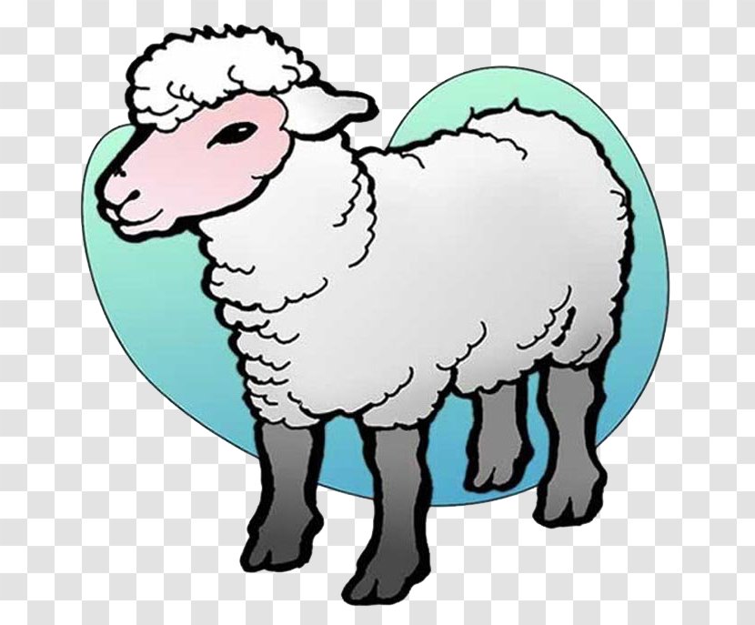 Lovely Sheep Drawing - Artwork - Cute Transparent PNG