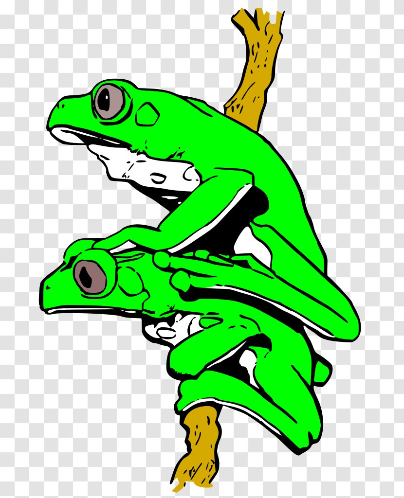 True Frog Tree Drawing Clip Art - Ranidae Transparent PNG