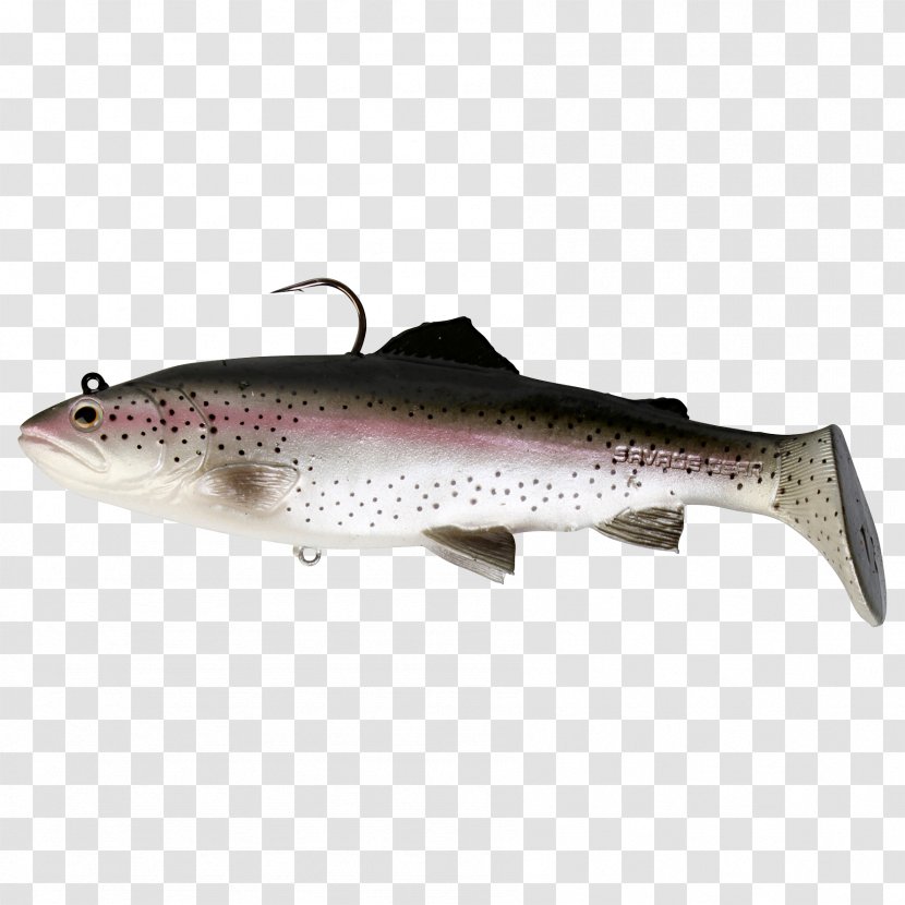 Brown Trout Rainbow 3D Modeling Fishing - Milkfish Transparent PNG