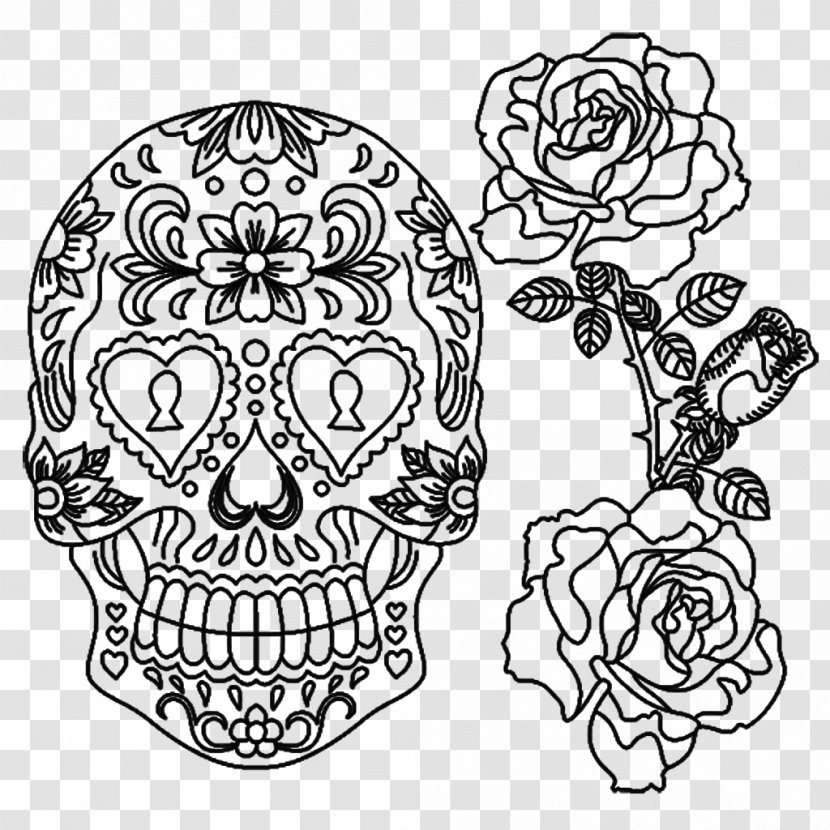Visual Arts Jaw Line Art - Black And White - Skull Transparent PNG