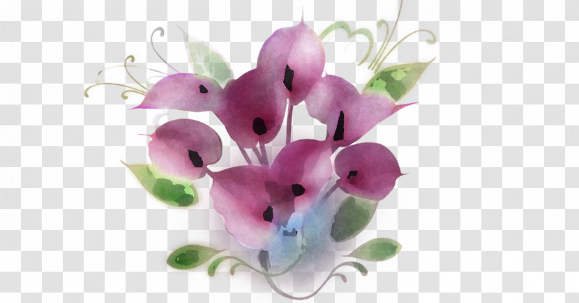Flower Violet Pink Petal Plant Transparent PNG