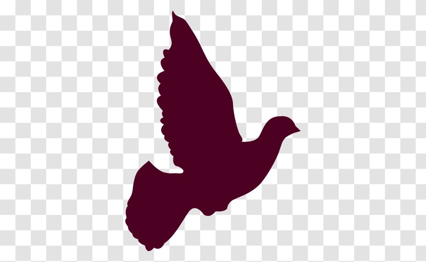 Columbidae Silhouette Doves As Symbols Clip Art - Beak - Peace Dove Transparent PNG