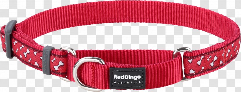 Dog Collar Dingo Clothing Accessories Ribbon - Belt - Red Transparent PNG
