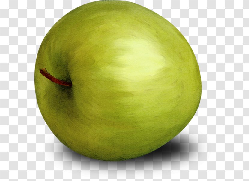Granny Smith Big Apple Watermelon - Plant - Painted Green Transparent PNG