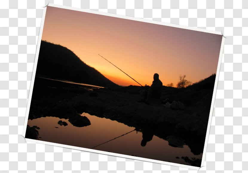 Mahseer Stock Photography Fishing Silhouette - Angling Transparent PNG