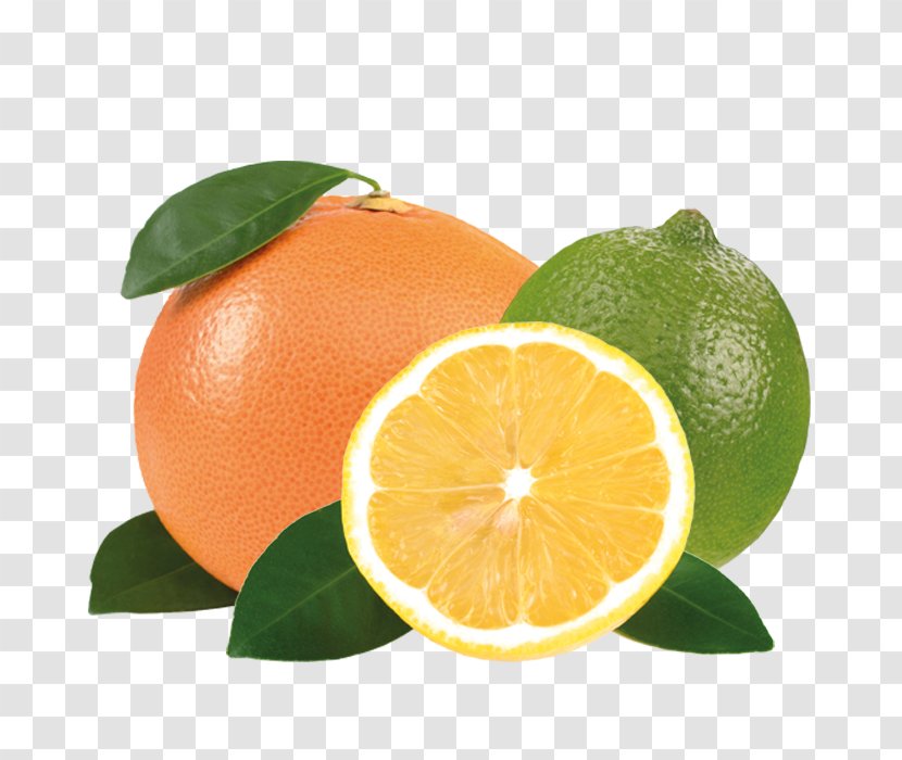 Clementine Key Lime Lemon Persian Mandarin Orange - Tangerine Transparent PNG
