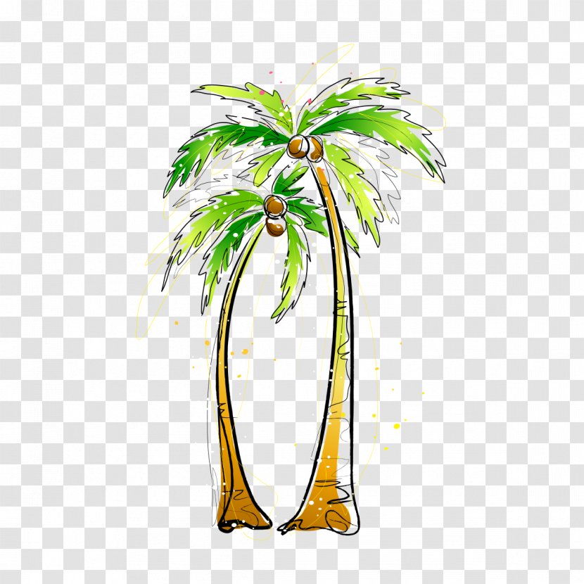 Arecaceae Coconut Painting Illustration - Drawing - Tree Transparent PNG