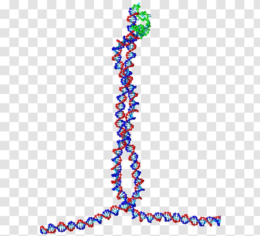 DNA Bead Nucleic Acid Double Helix Drug Delivery Capsule - Human Body - Tetrahedral Opening Transparent PNG