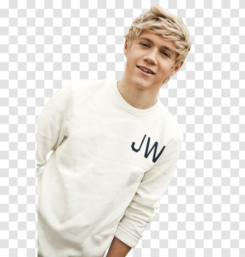 Niall Horan One Direction Male Boy Band Hairstyle - Watercolor Transparent PNG