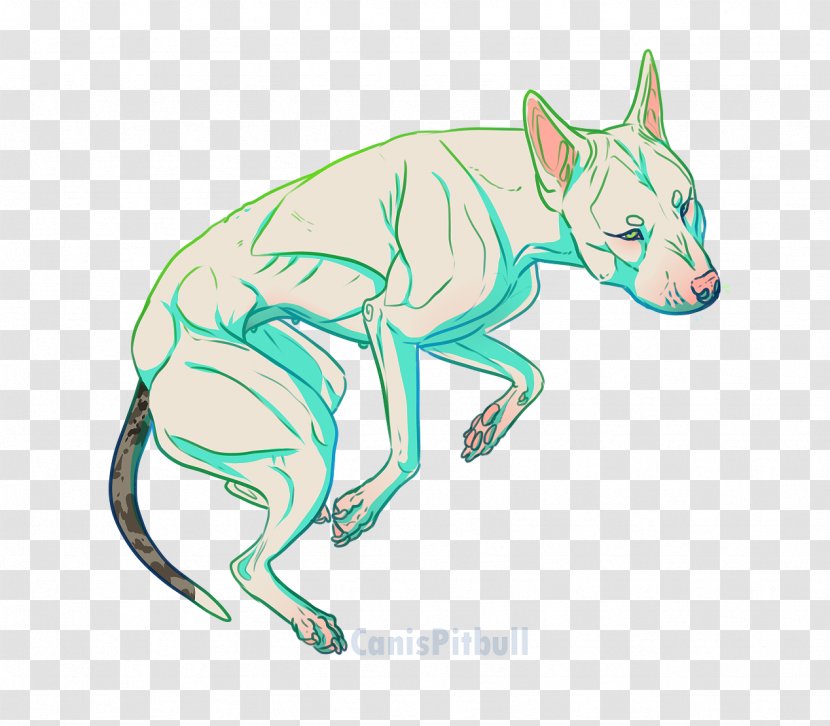 Canidae Drawing Dog Clip Art - Cartoon Transparent PNG