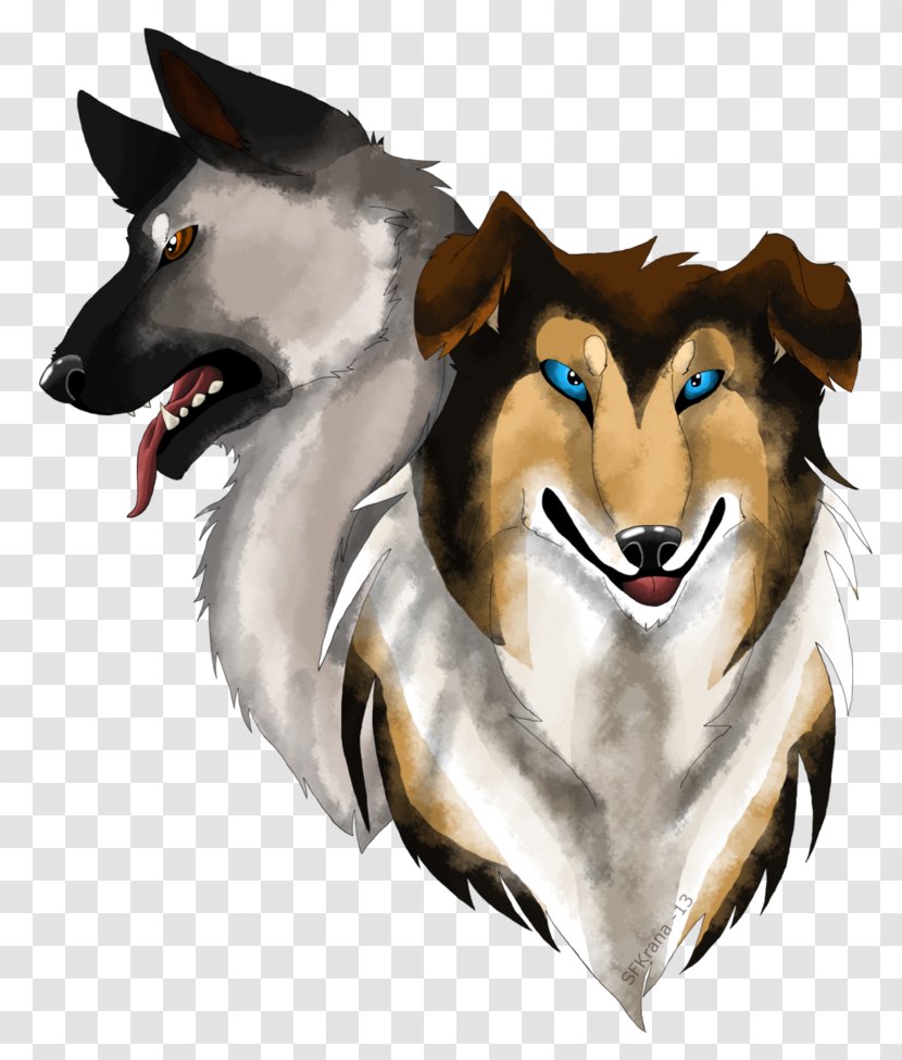 Dog Breed Norwegian Elkhound Rough Collie Snout Drawing - Gray Wolf Transparent PNG