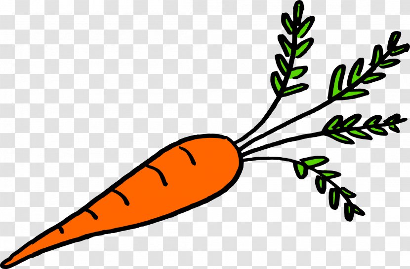 Vegetable Plant Stem Leaf Food - Tomato - Carrot Transparent PNG