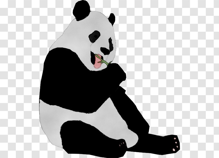 Giant Panda King Kong Restaurant Hyattsville Bear - Art Transparent PNG