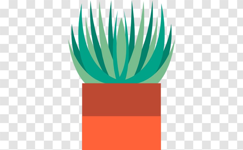 Desktop Wallpaper - Plant - Aloe Transparent PNG