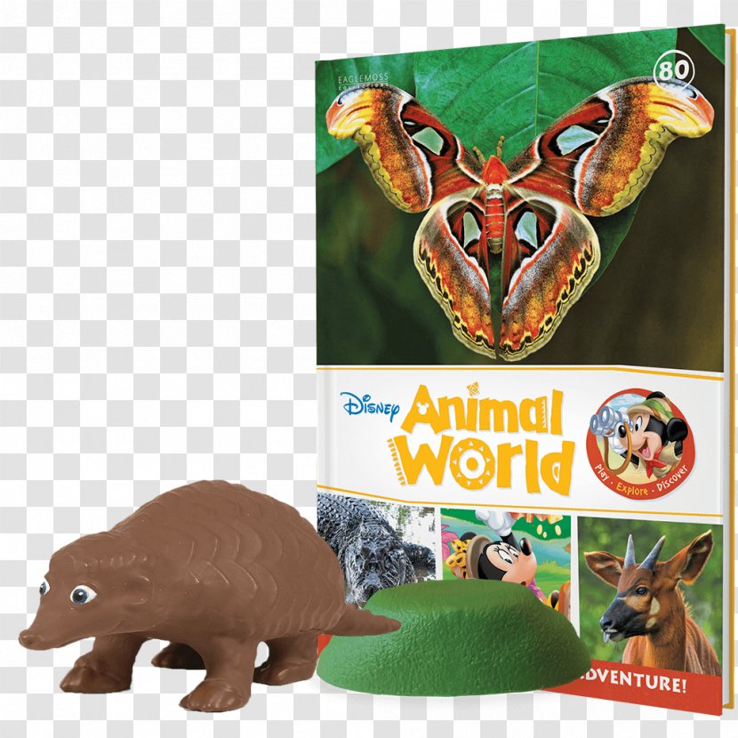 Snout Amphibian Puppy Animal The Walt Disney Company Transparent PNG