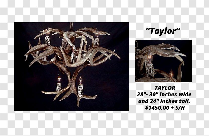 Antlers By Cody White-tailed Deer Horn - Antler Transparent PNG