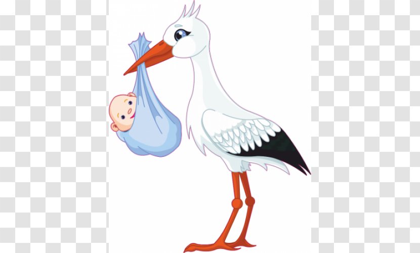 Infant Ciconia Baby Shower Clip Art - Wing - Stork Transparent PNG