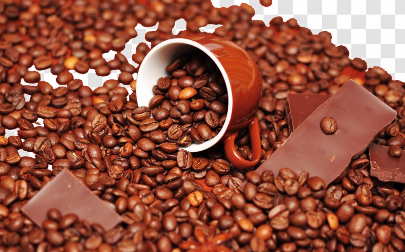 Chocolate-covered Coffee Bean Chocolate Milk Cupcake - Montreal Beans Transparent PNG