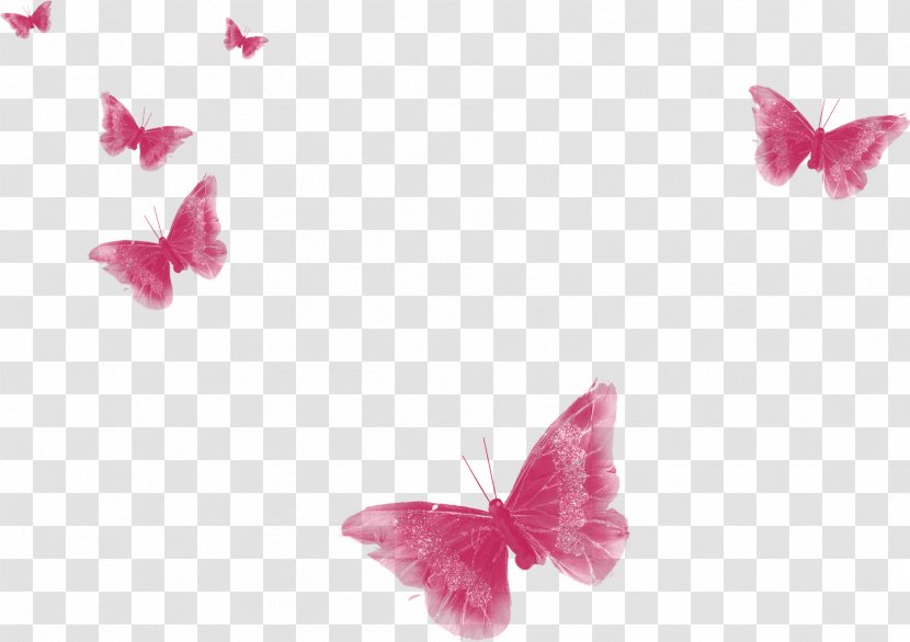 Download Paper Wallpaper - Silhouette - Butterfly Transparent PNG
