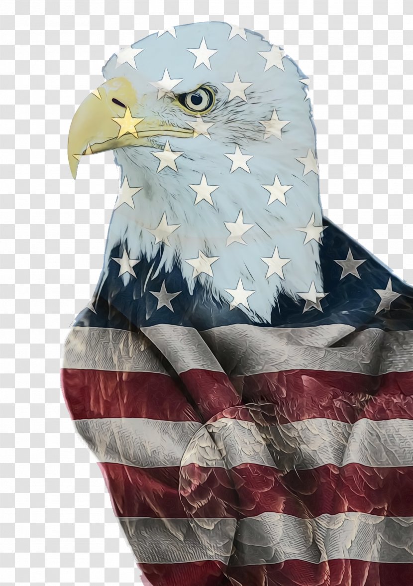 Fourth Of July Background - American - Kite Falconiformes Transparent PNG