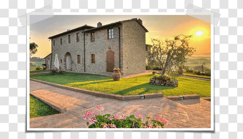 San Gimignano Borgo Tollena Wine Resort Breakfast Accommodation Agritourism - Cartoon - Olive Farms In Italy Transparent PNG