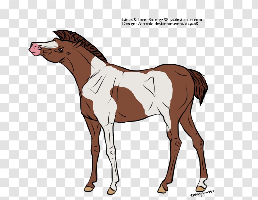 Mule Foal Stallion Colt Mare - Mustang Transparent PNG